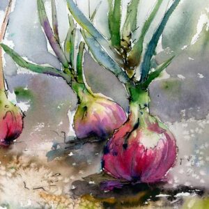 Food Art Original Red Onions Watercolors and Ink