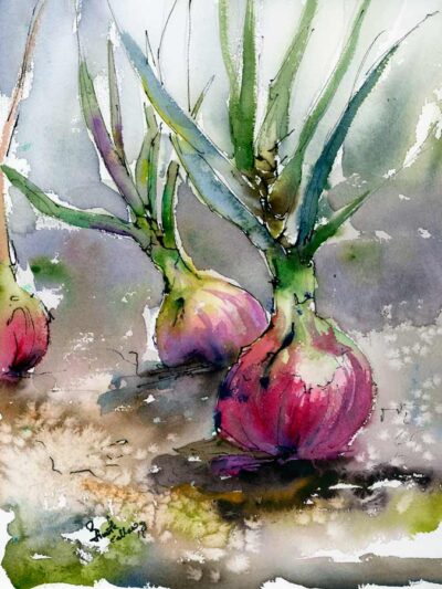 Food Art Original Red Onions Watercolors and Ink