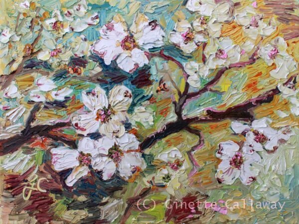 Dogwood Tree Blossoms Georgia