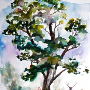 Black Locust Tree Deer Wildlife Nature Watercolors