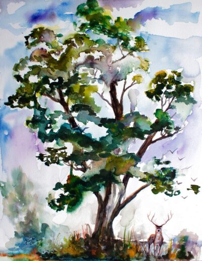 Black Locust Tree Deer Wildlife Nature Watercolors