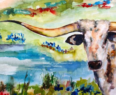 Texas Longhorn in Bluebonnets Field Watercolor Painting D
