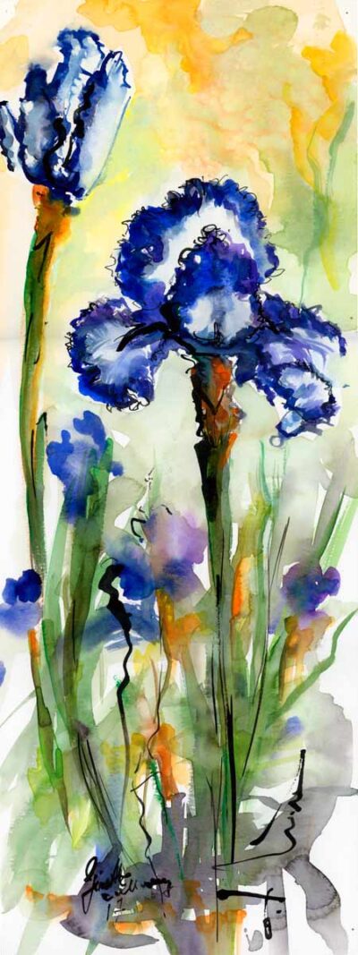 Blue Bearded Iris Flower Watercolor and Ink Painting
