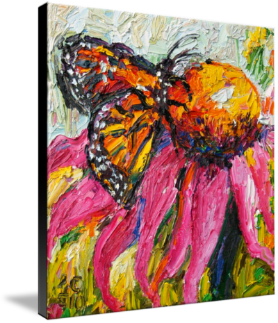 monarch butterfly sold