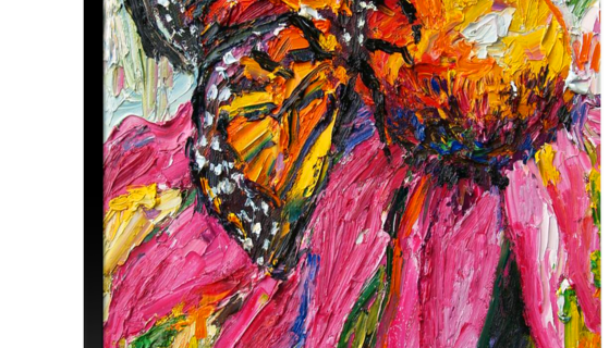 monarch butterfly sold