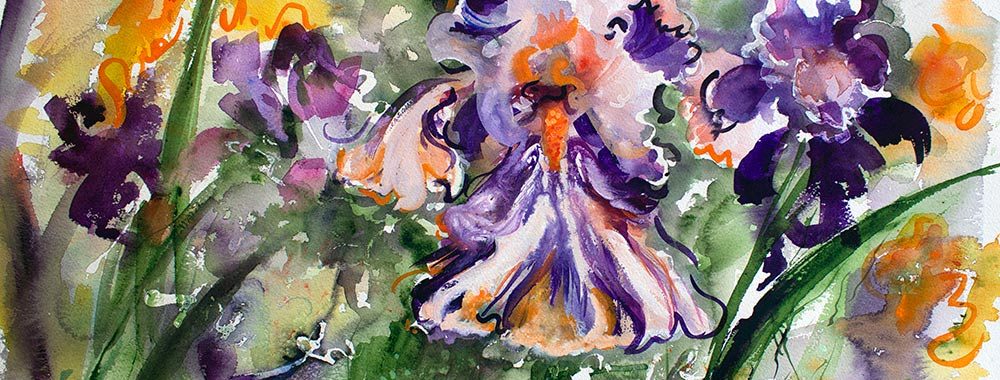 Bearded Iris Watercolor Paintings