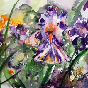 Bearded Iris Watercolor Paintings