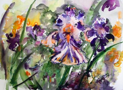 Bearded Iris Watercolor Paintings