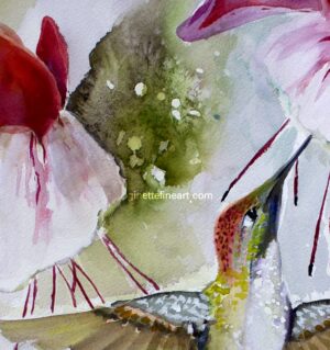 Hummingbirds Song 2 Watercolor Paintings D