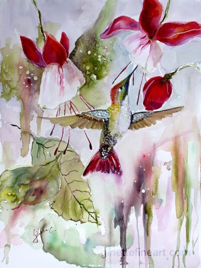 Hummingbird Song 2 Watercolor Paintings