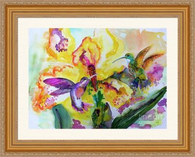 Hummingbirds Song Watercolor paintings frame sample