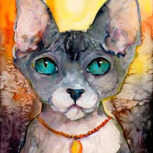 Sphynx Cat Portrait