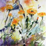 Dandelions and hummingbirds