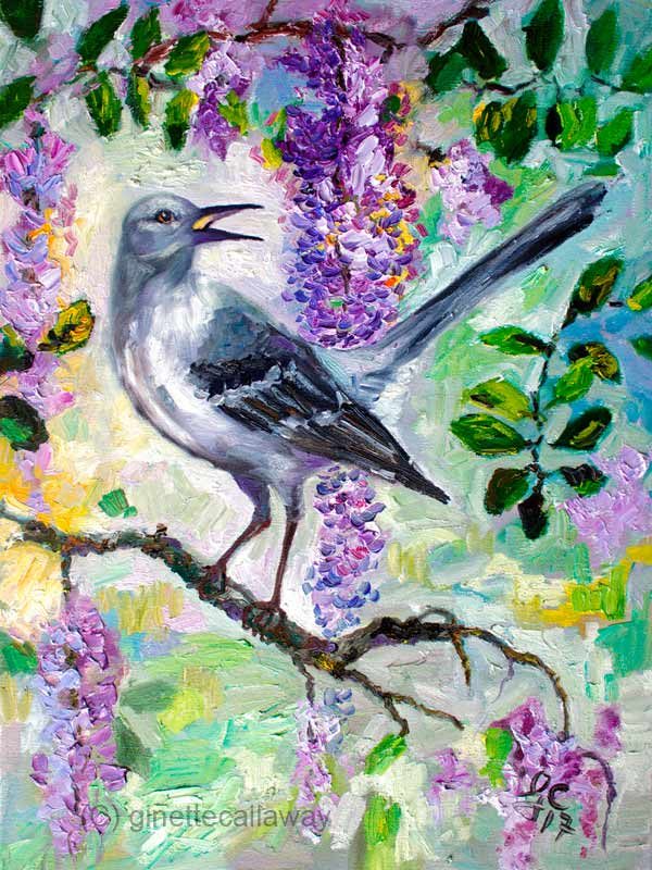 Mocking Bird in Wisteria