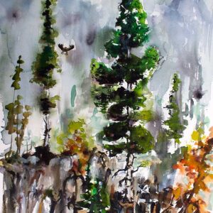 Silver Fir trees Primal Wilderness Landscape Portrait