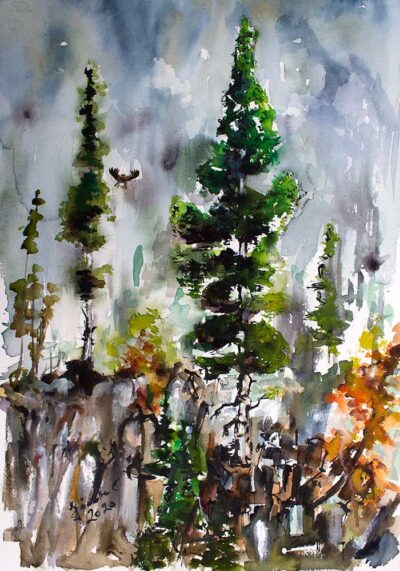 Silver Fir trees Primal Wilderness Landscape Portrait