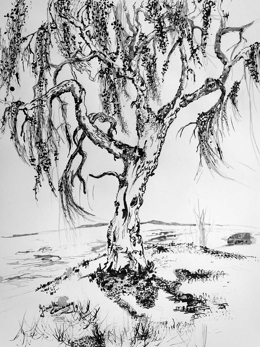 black and white willow tree art