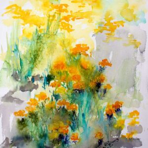 Helichrysum Medicinal Plant Watercolors