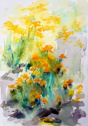 Helichrysum Medicinal Plant Watercolors