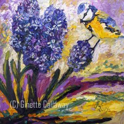 Spring Blue Hyacinth Songbird