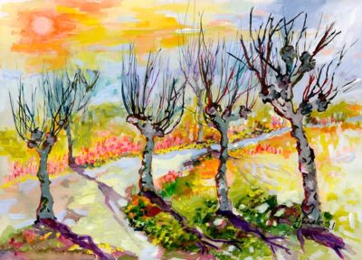 Sunny Day and Pollard Trees by Ginette