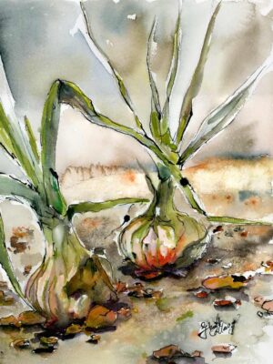 Yellow Onions Watercolors and Ink painting by Ginette Callaway