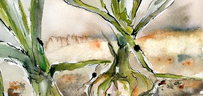 Yellow Onions Watercolors and Ink painting by Ginette Callaway