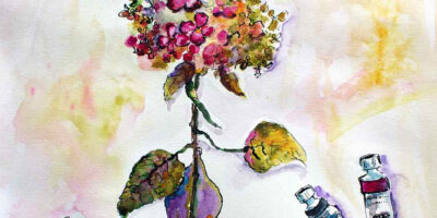 Still Life Hydrangeas Floral Watercolors and Ink detail 3