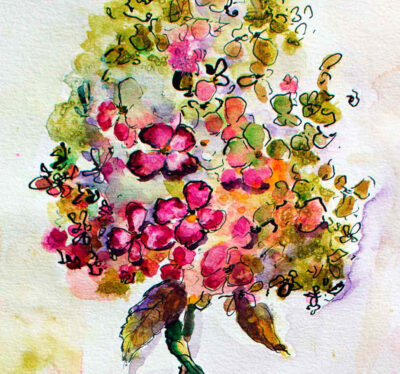 Still Life Hydrangeas Floral Watercolors and Ink detail 2