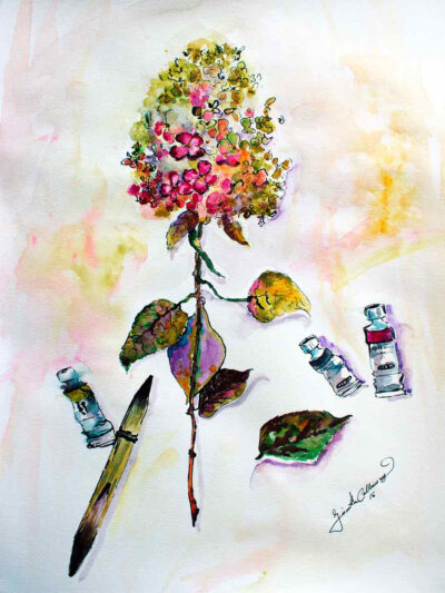 Still Life Hydrangeas Floral Watercolors and Ink