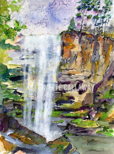 Georgia Landscape Toccoa Falls Watercolors and ink L