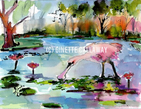 Roseate Spoonbill Eating Duckweed Wetland Magic Large