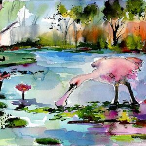 Roseate Spoonbill Eating Duckweed Wetland Magic M