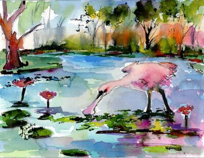Roseate Spoonbill Eating Duckweed Wetland Magic M