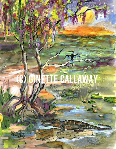 Where Alligator Dream Wetland Sunrise Watercolors and ink