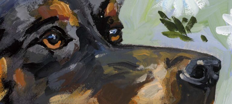 Dog Art Doberman Arko I remember You detail