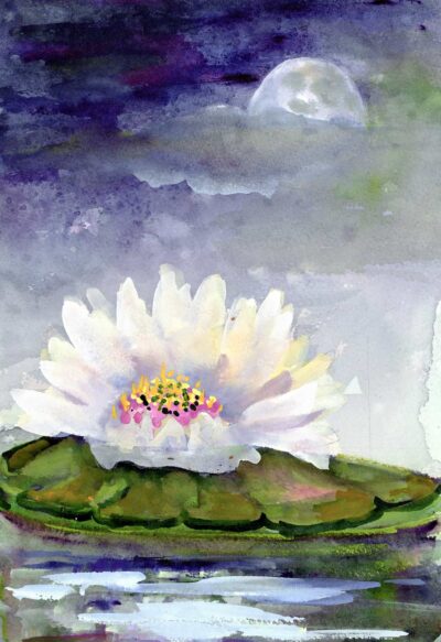 Moon Magic over the Lily Pond Watercolors D