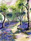 Bluebell Forest A Walk in Peace Watercolors