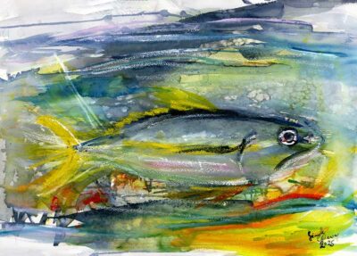 Abstract Expressive Yellowtail Tuna Watercolors and Oil Sticks