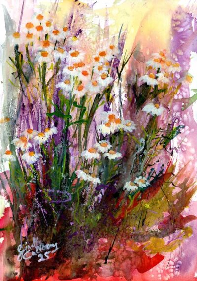 Chamomile Medicinal Beauty Watercolors M